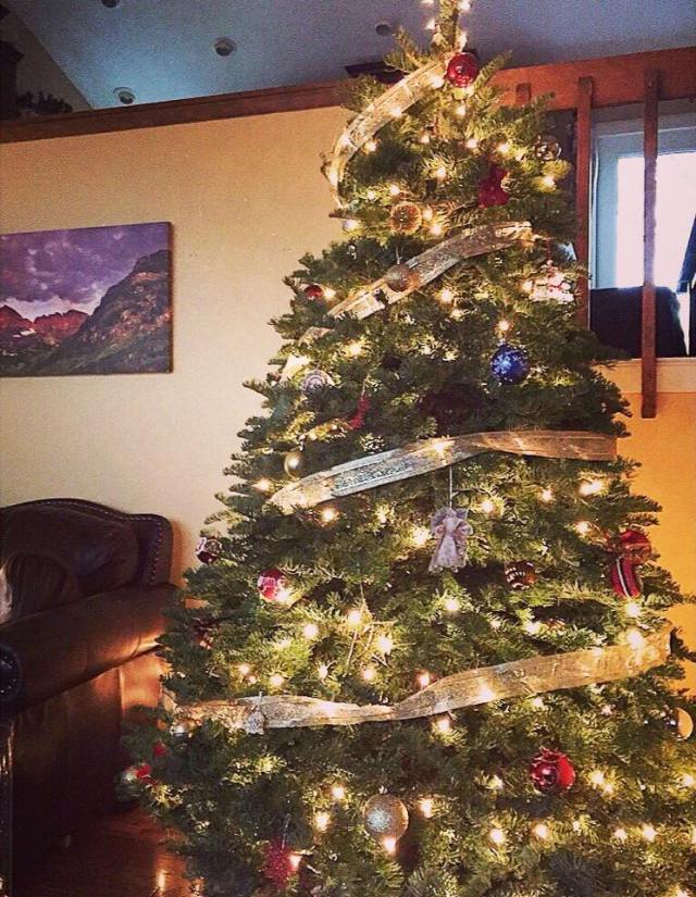 10801563_10152388784751783_2889702493921857143_n